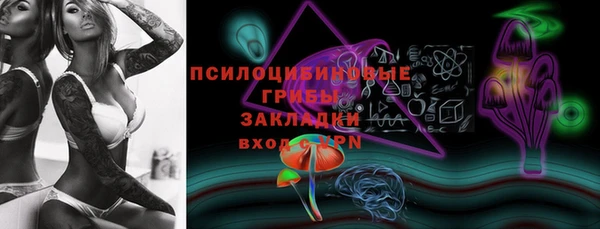 МДПВ Алексеевка