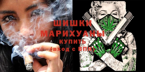 МДПВ Алексеевка