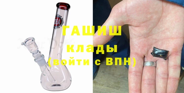 сатива Кулебаки