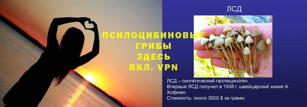 МДПВ Алексеевка