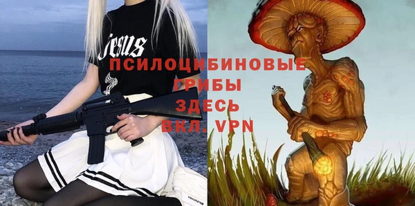спиды Алексин