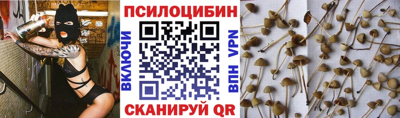 Псилоцибиновые грибы Psilocybine cubensis  где купить наркоту  KRAKEN вход  Аркадак 