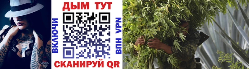 как найти наркотики  Аркадак  Канабис White Widow 